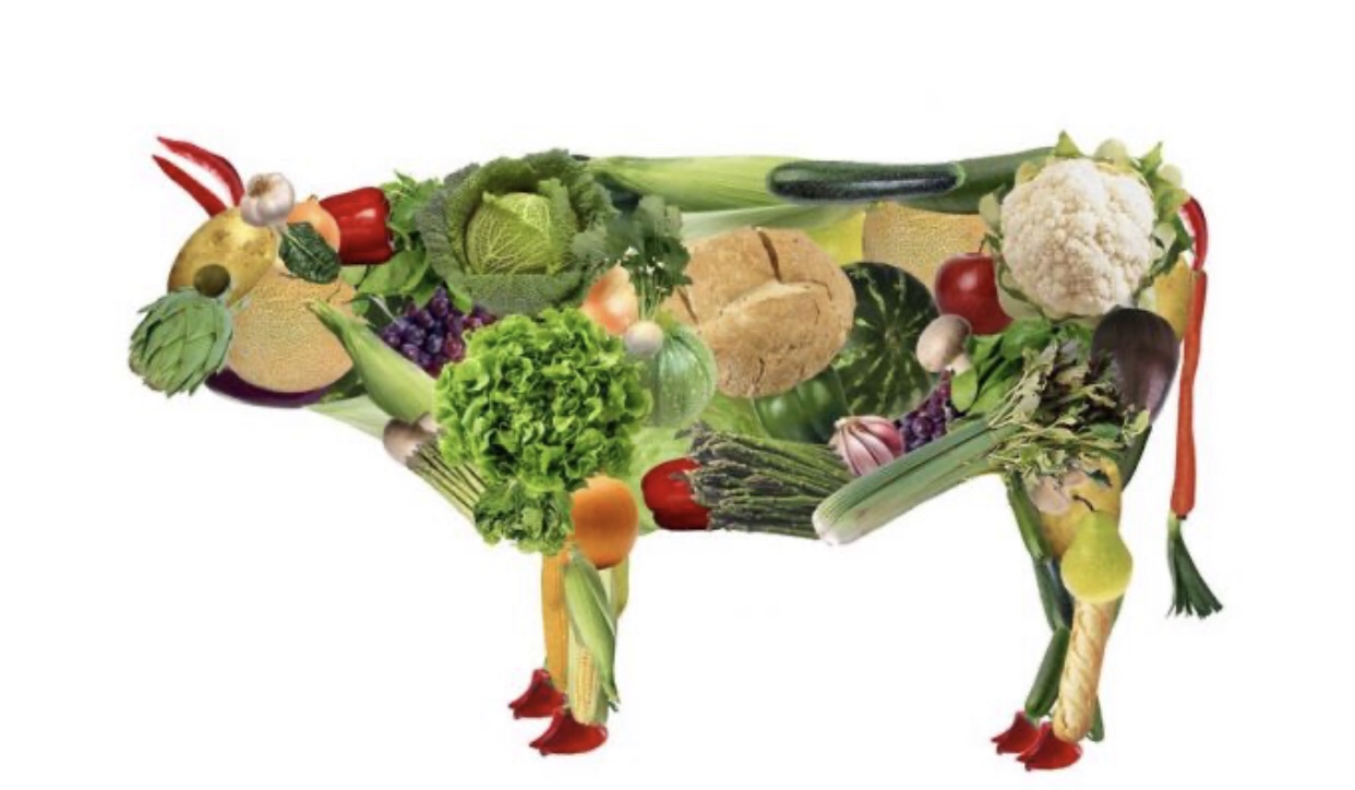 مقارنات ببن ميزة اللاحم والنباتي.